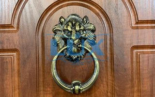 одностворчатая дверь с ручкой стучалкой и отделкой МДФ